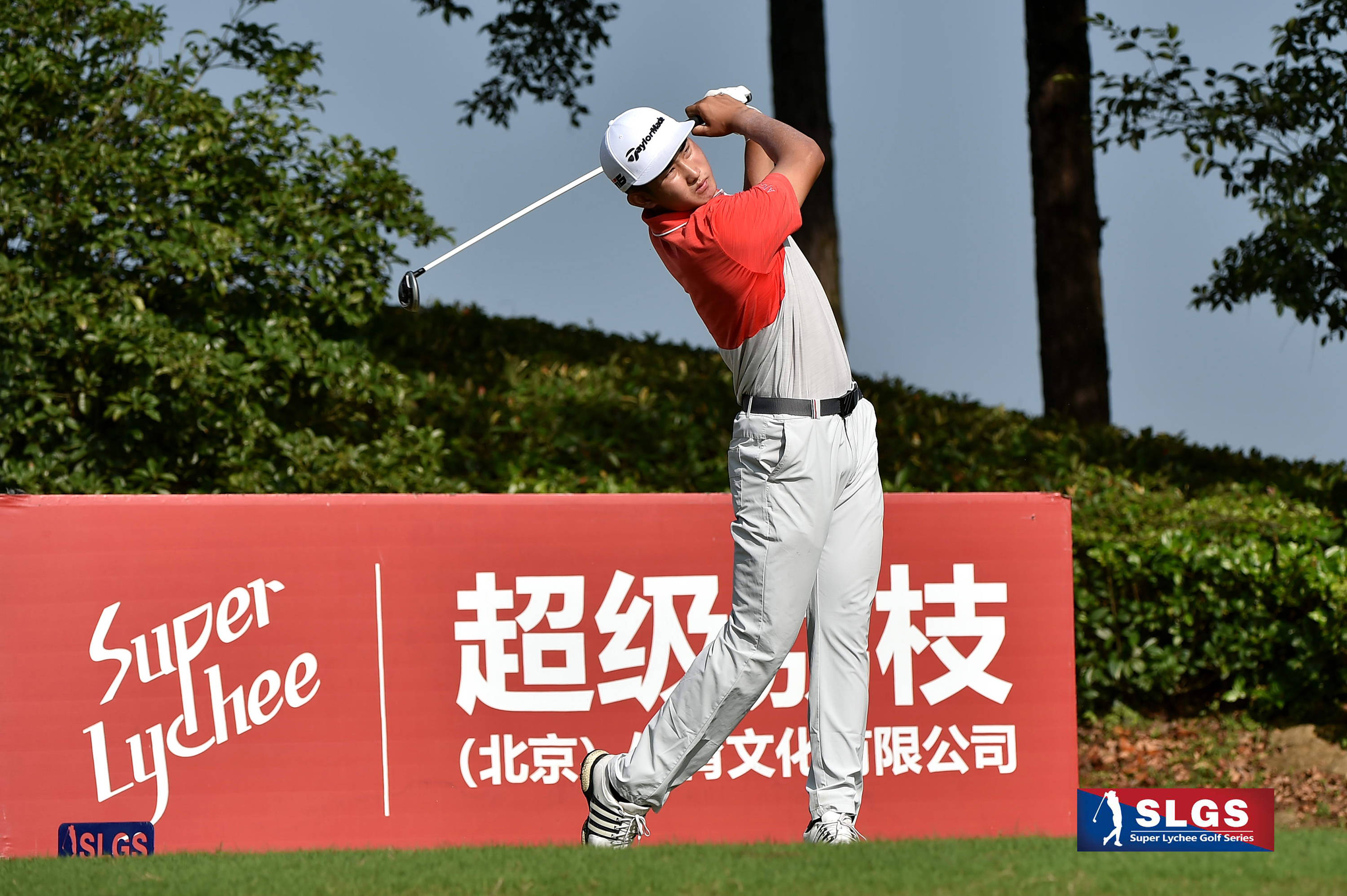 Sports Sohu (Sports Sohu News)
